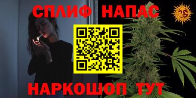 apvp Будённовск